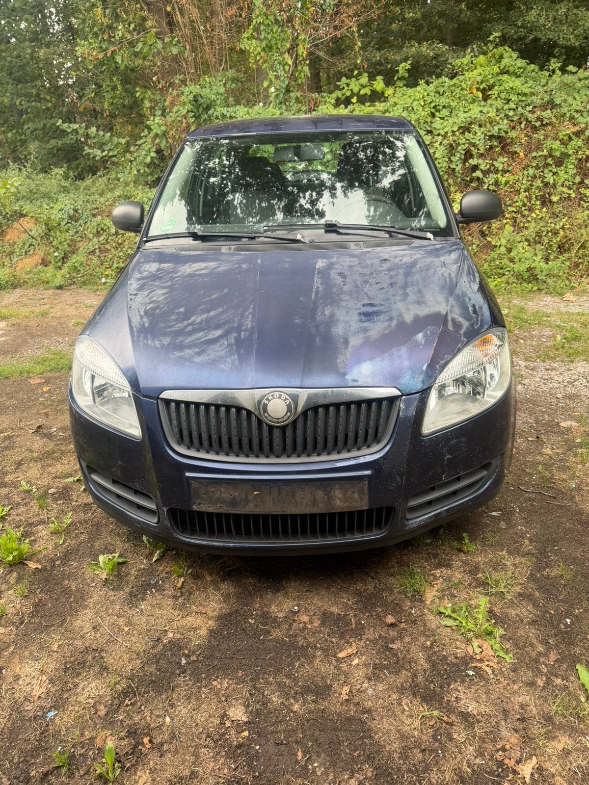 Skoda fabia 2009 1.4 tdi, Achat, Fabia