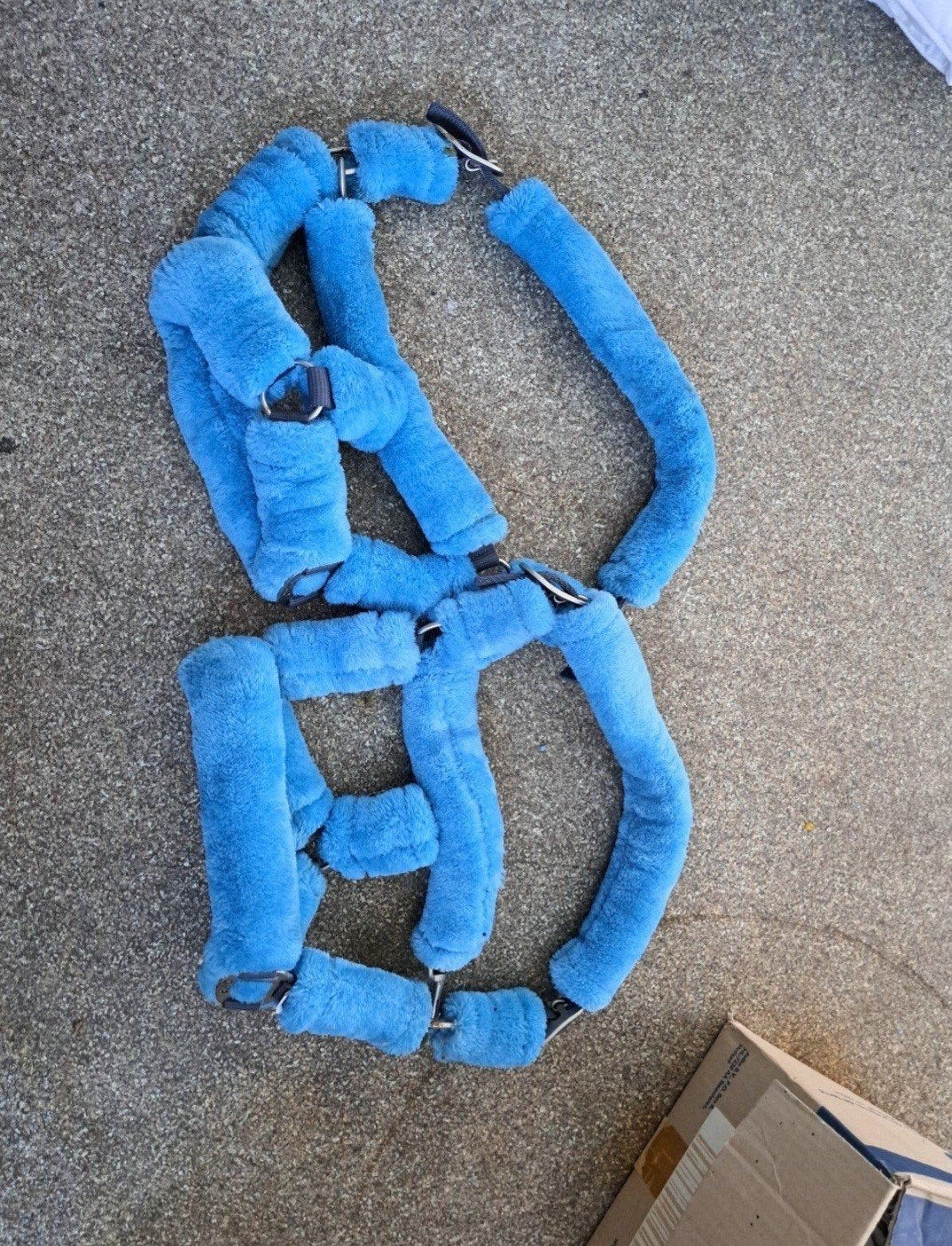 nieuw shetland halsters, Dieren en Toebehoren, Ophalen of Verzenden