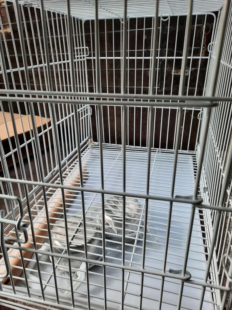 5 nieuwe vogelkooien