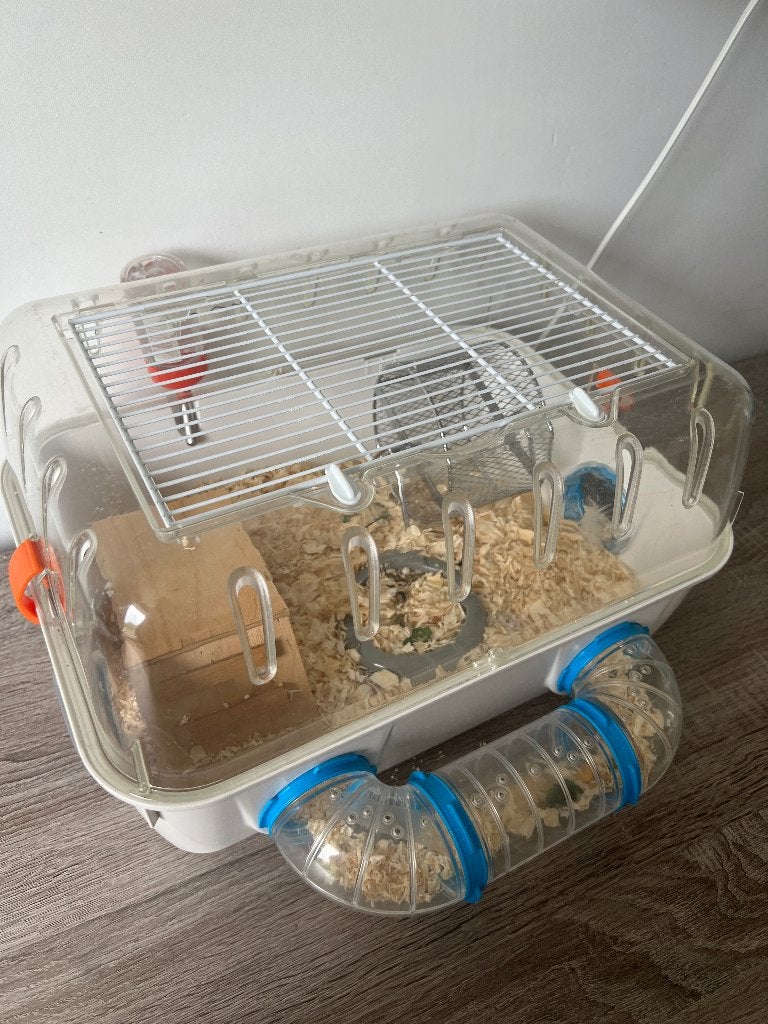 Le hamster nain doit partir !, Animaux & Accessoires, Mars, Sexe inconnu, Hamster