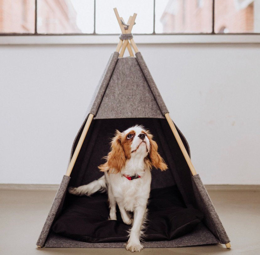 Huisdier tent vilt hello pets tipi, Enlèvement ou Envoi, Comme neuf, Feutre