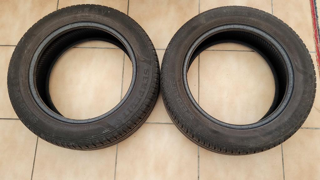 2 Banden Semperit Speed-Life 3 195-55 R 15 V, Auto-onderdelen, Banden en Velgen, Ophalen, Gebruikt, Band(en), Personenwagen