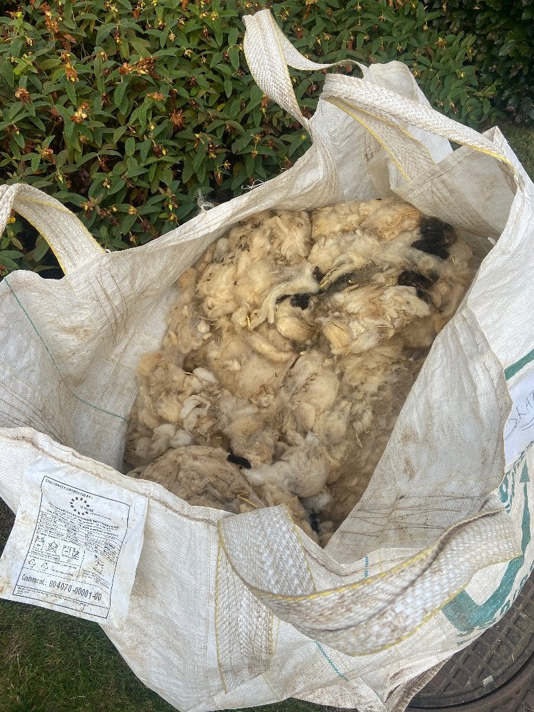 Gratis geschoren wol, Dieren en Toebehoren, Schapen, Geiten en Varkens