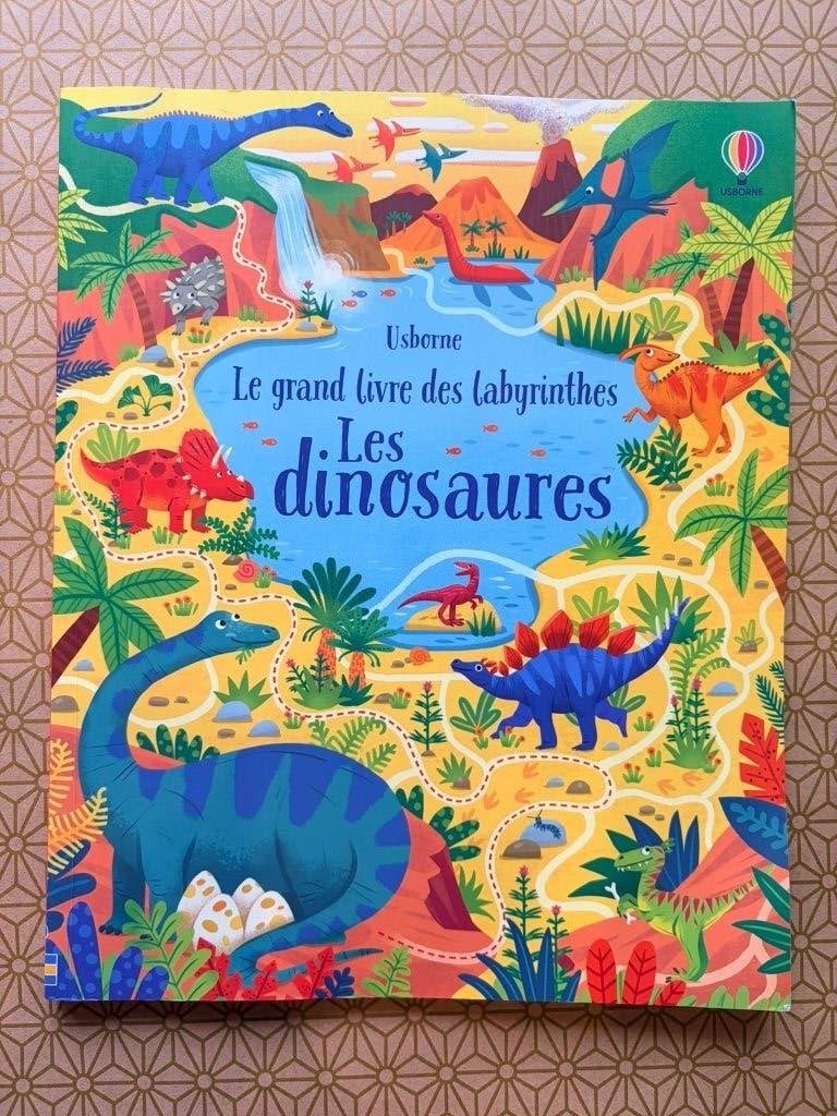 Mon grand livre des labyrinthes dinosaures — Usborne, Boeken, Ophalen, Gelezen, Non-fictie
