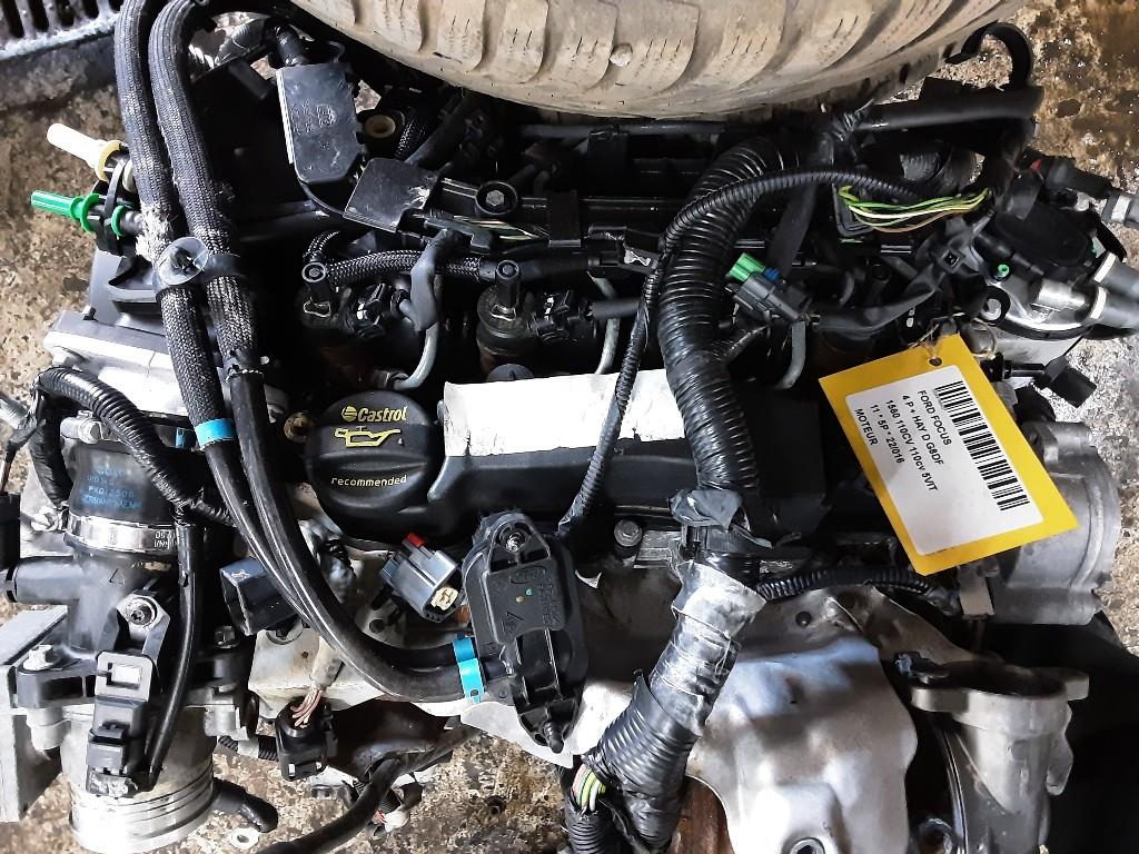 MOTEUR Ford Focus 2 (01-2004/09-2012) (9M5Q6007BB1306771), Utilisé, Ford