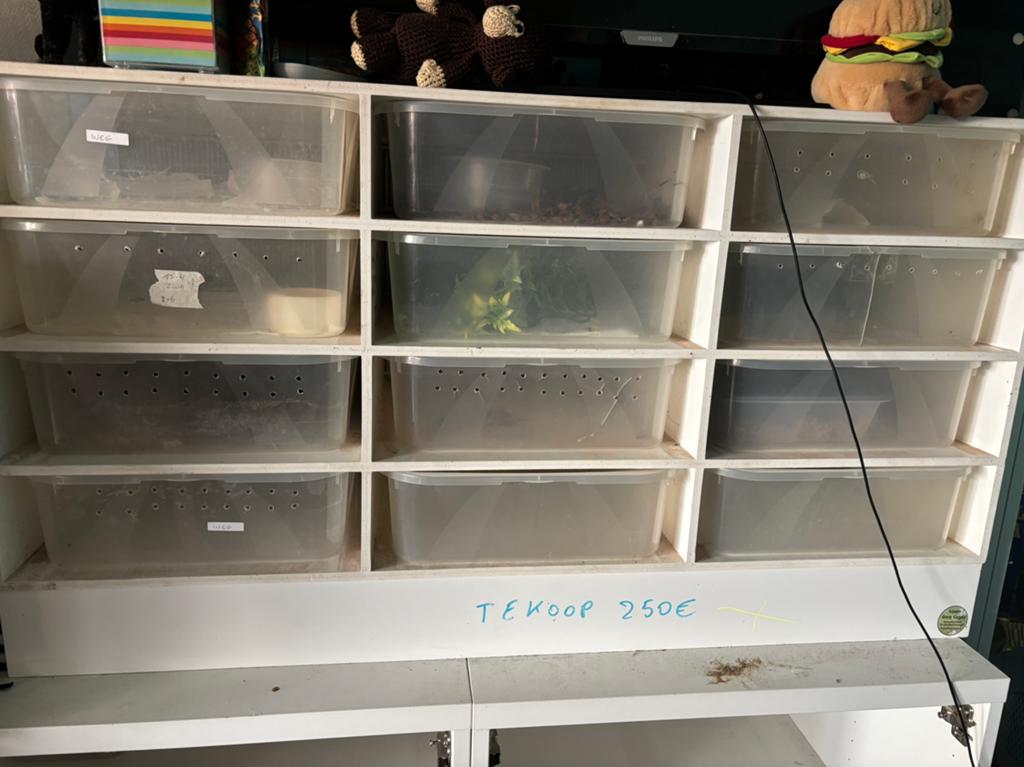 Rack, Ophalen, Zo goed als nieuw