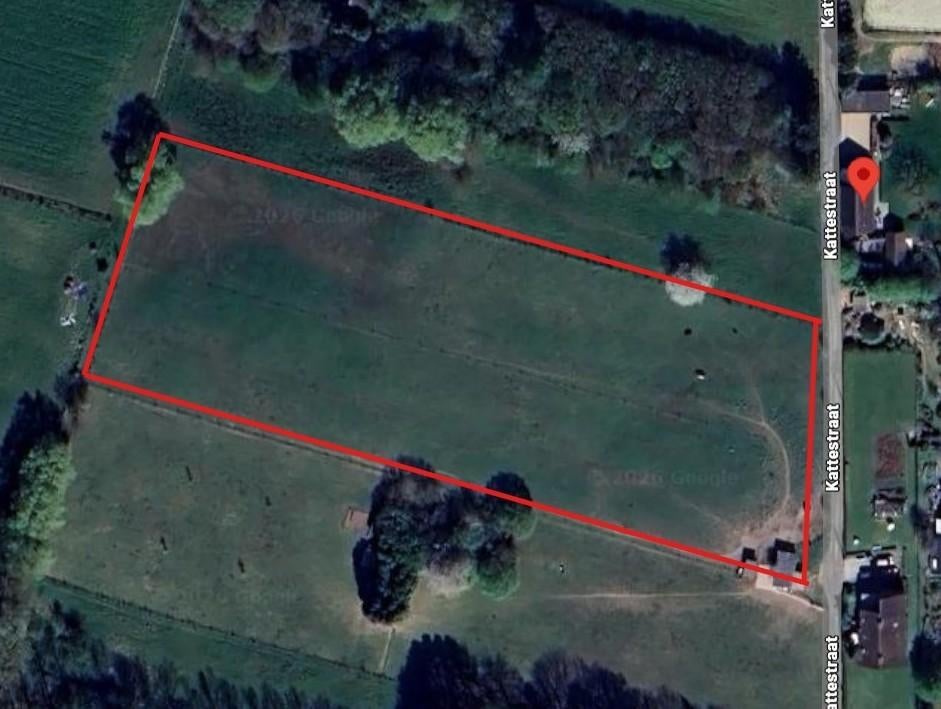 Weide met stal te koop – Wambeek