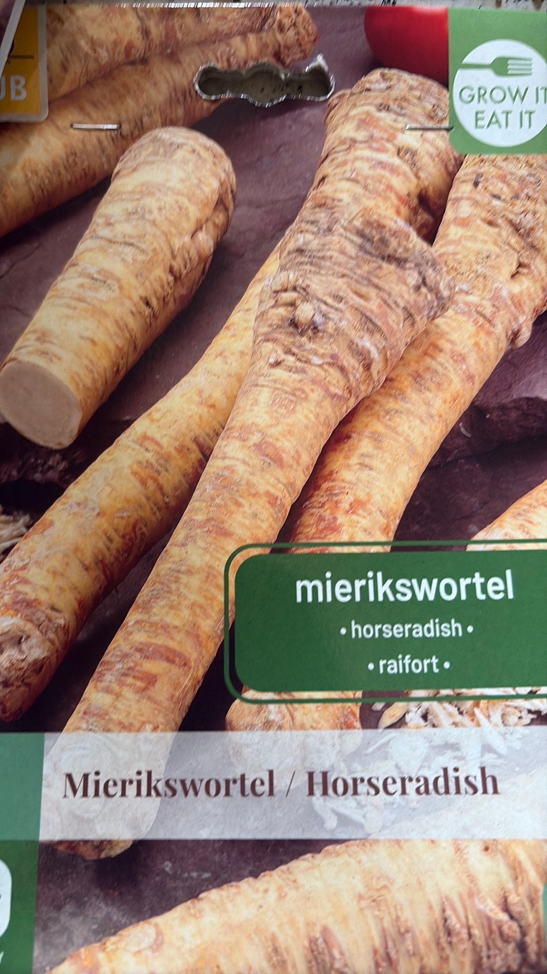 Mierikswortel, Jardin & Terrasse, Bulbes & Semences, Enlèvement