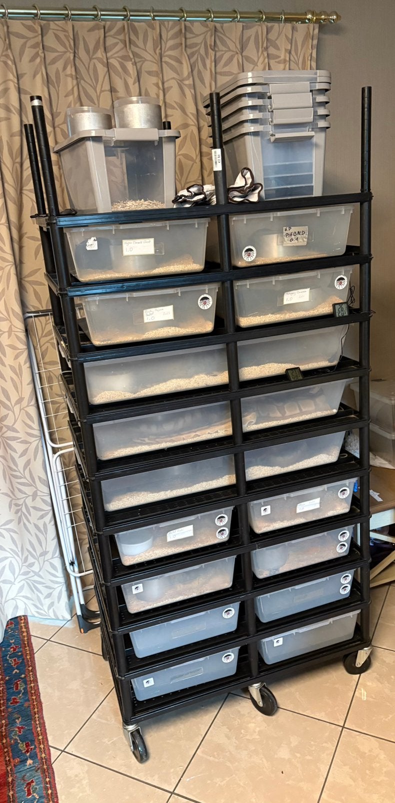 Rack reptielen / v70 tubs / v35 tubs, Animaux & Accessoires, Enlèvement, Utilisé