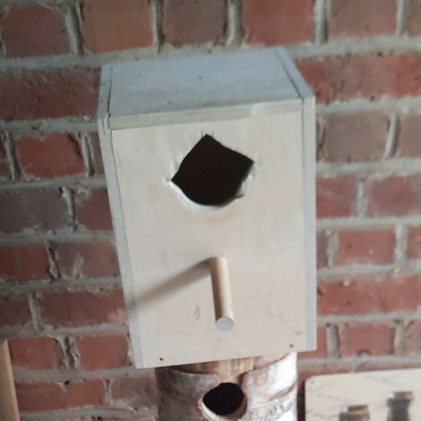 Grote broedblok voor bv grote parkieten/ kleine papegaaien, Ophalen of Verzenden, Gebruikt