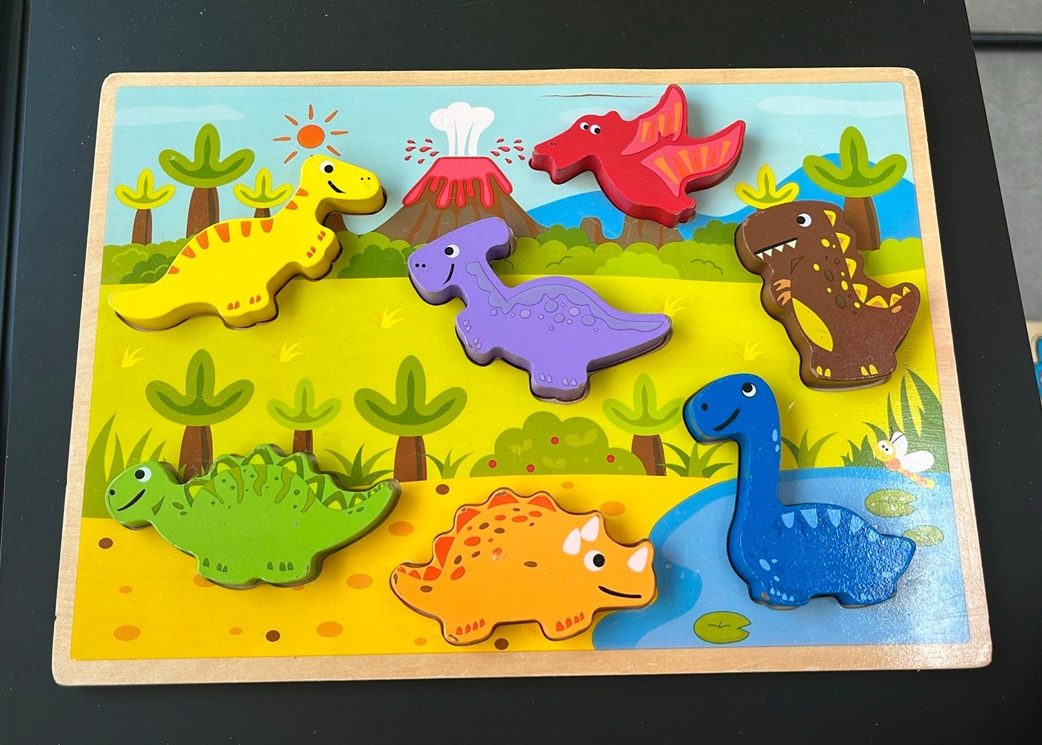 Houten inlegpuzzel dino's, Ophalen, Gebruikt
