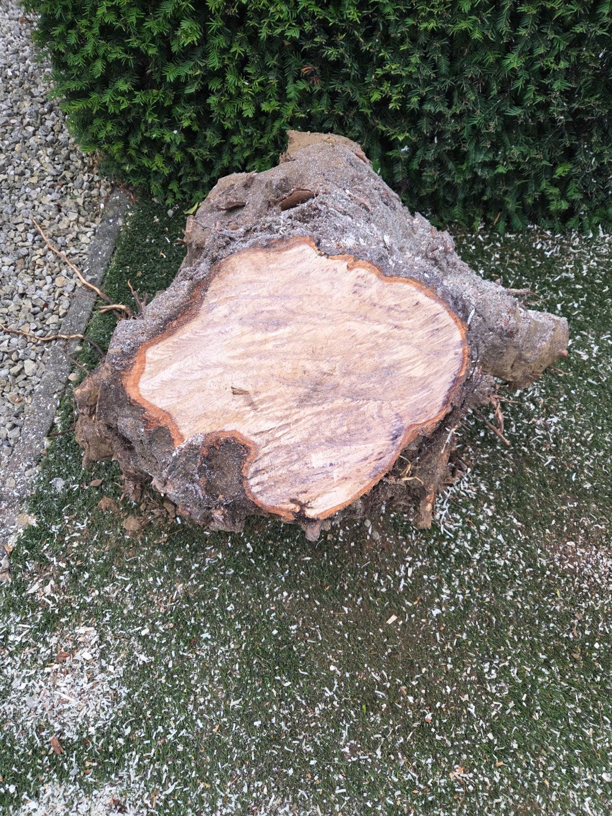 decoratieve boomstronk en stuk kunstgras, Ophalen