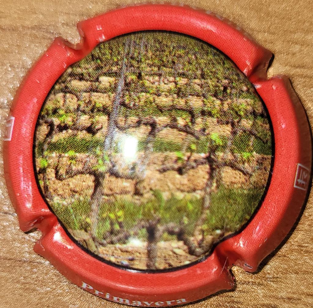 Capsule Cava d'Espagne SUMARROCA polychrome & rouge nr.06, Enlèvement ou Envoi, Neuf, Espagne, Autres types