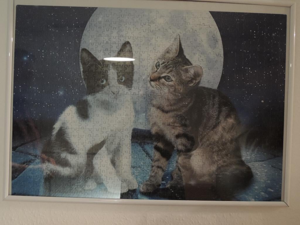 Cadre avec puzzle : deux chats dans la nuit, Ophalen
