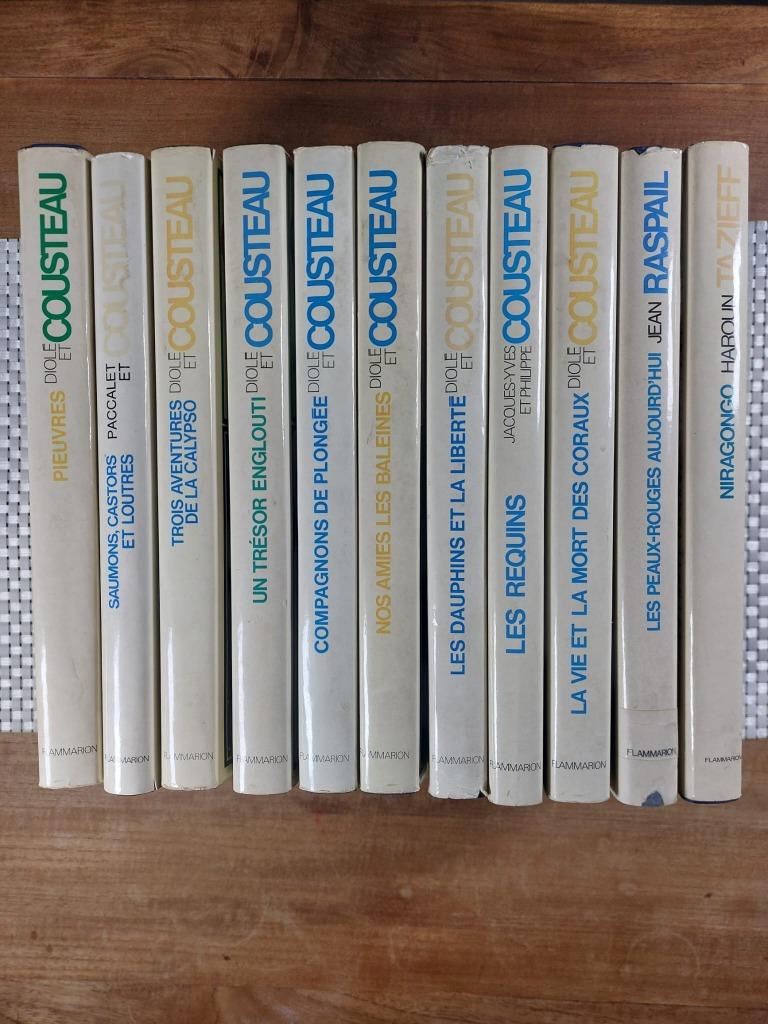 Lot de 11 livres éditions Flammarion, Ophalen of Verzenden, Gelezen