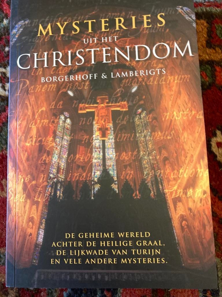 Steven Borgerhoff - Mysteries uit het christendom, Ophalen of Verzenden, Zo goed als nieuw, Steven Borgerhoff; Kristof Lamberigts