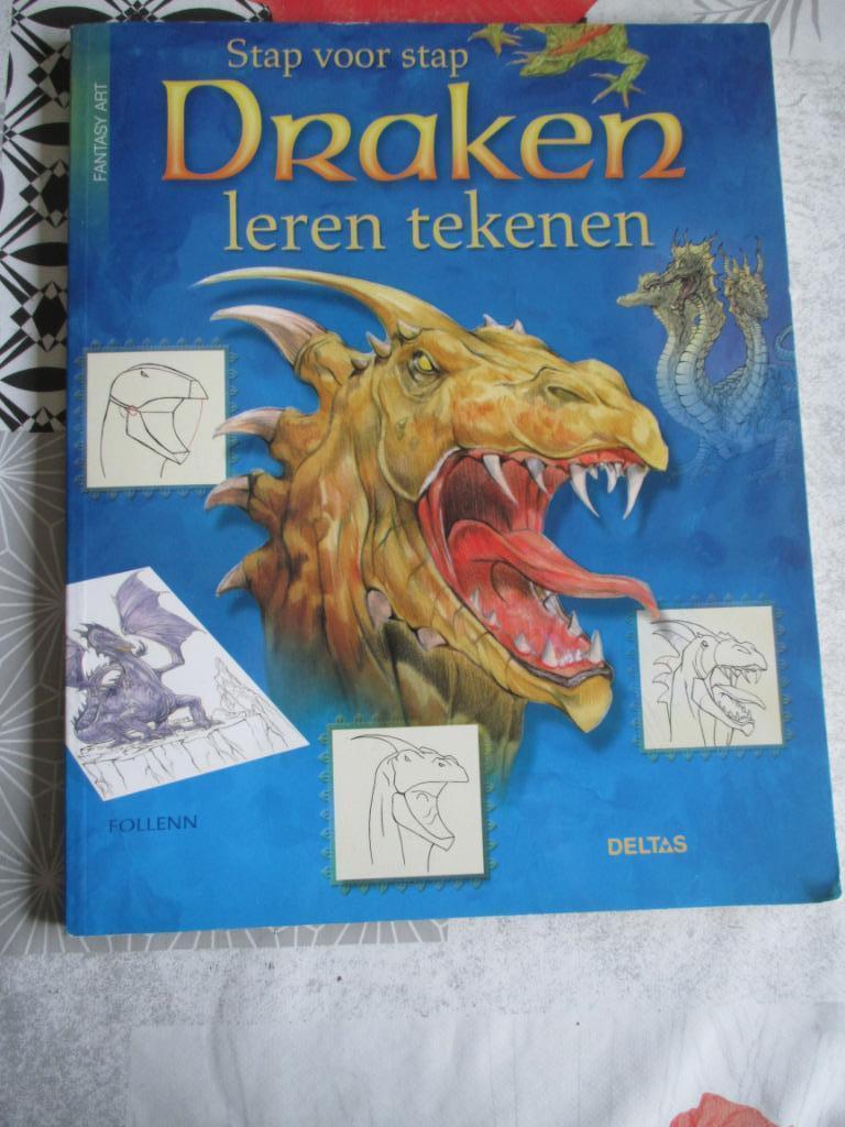 boek draken tekenen, Ophalen of Verzenden, Zo goed als nieuw, Boek of Gids