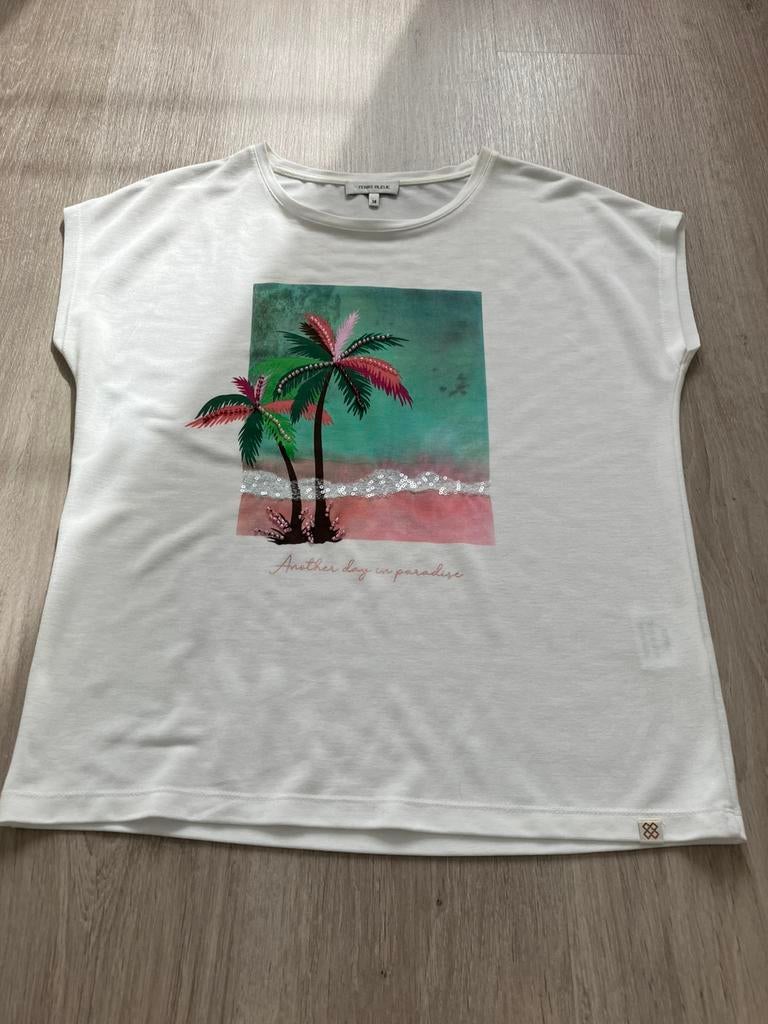 Tshirt terre bleu maat 38, Ophalen of Verzenden, Gedragen, Maat 38/40 (M)