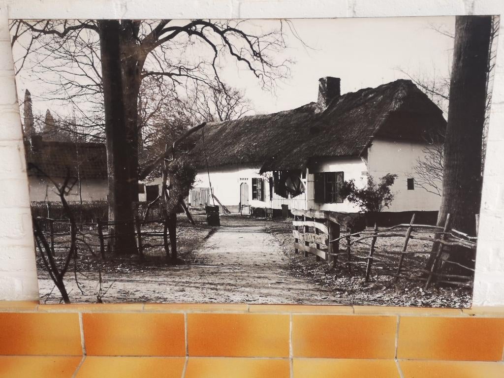 MEUROP... vintage zw/wit...foto...60's-70's!!, Antiek en Kunst, Curiosa en Brocante, Ophalen of Verzenden
