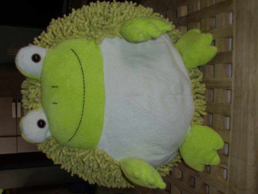 grote knuffel kikker 35 cm, Ophalen of Verzenden, Nieuw, Kikker