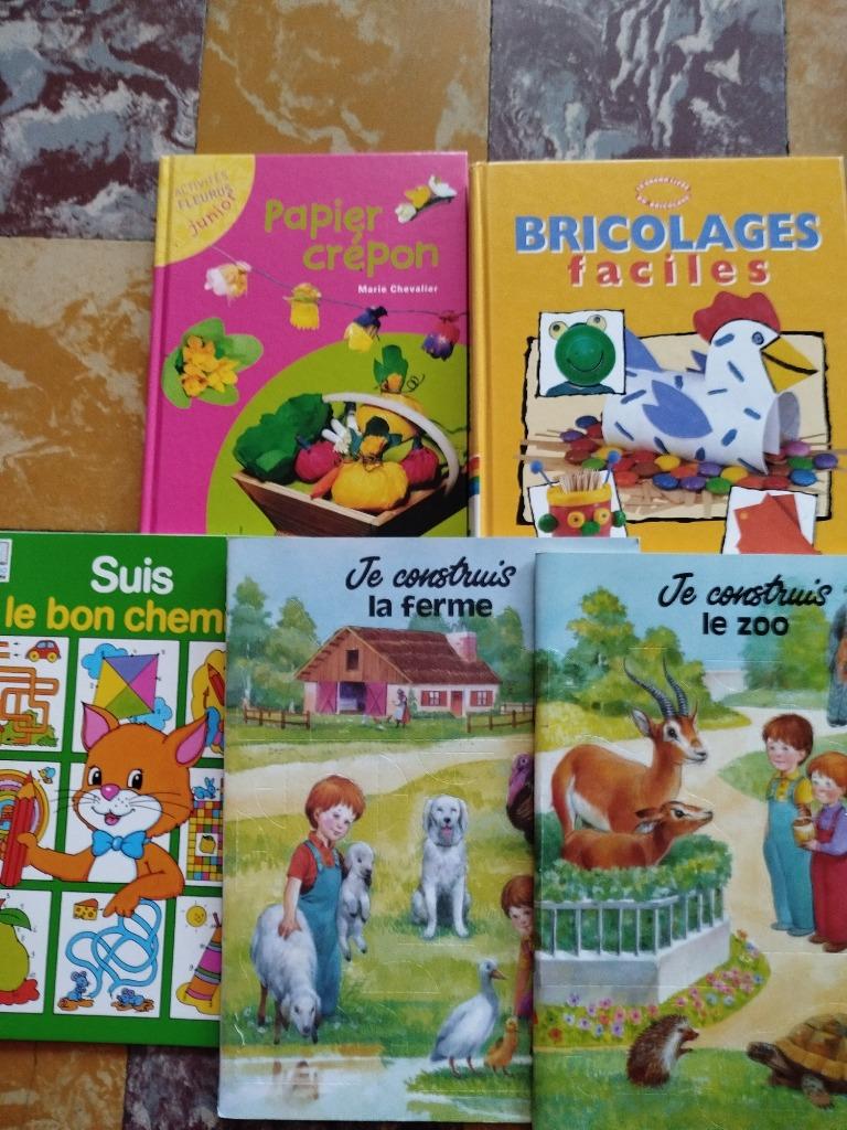 Livres création, Boeken, Kinderboeken | Kleuters, Zo goed als nieuw, Non-fictie, Jongen of Meisje, Ophalen