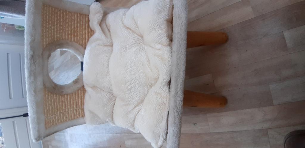 Katten zetel, Enlèvement