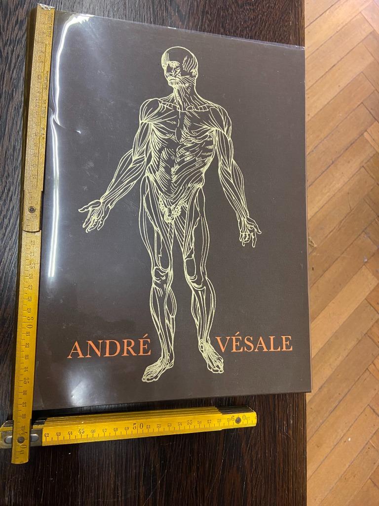 Vésale Iconographie anatomique texte en français 93 planches, Comme neuf, Vésale, Enlèvement, Autres sciences