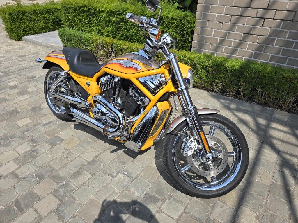 Harley Davidson vrod, Plus de 35 kW, Chopper, 1250 cm³, 2 cylindres