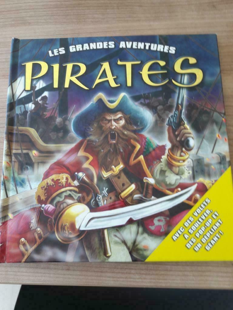 De grote piratenavonturen, Boeken, Kinderboeken | Kleuters, Zo goed als nieuw, 5 of 6 jaar, Jongen of Meisje, Uitklapboek, Ophalen of Verzenden