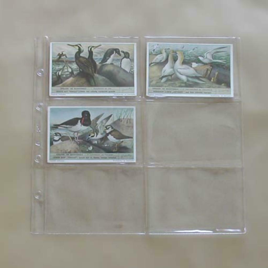 25 inlegbladen voor prentjes (Liebig - chromos), Verzamelen, Ophalen of Verzenden, Nieuw