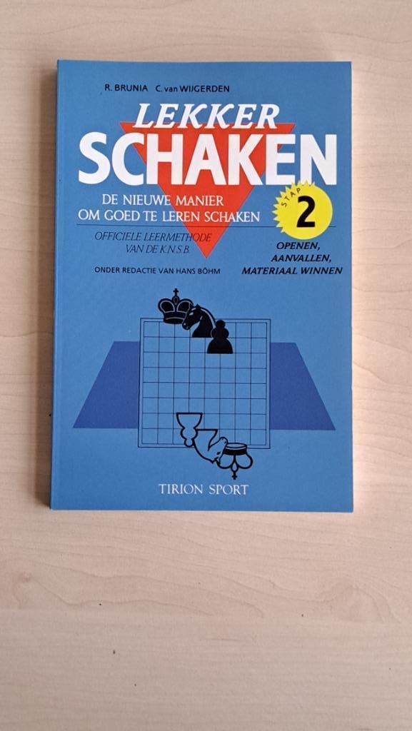 Lekker schaken de nieuwe manier om goed te leren schaken, Ophalen of Verzenden