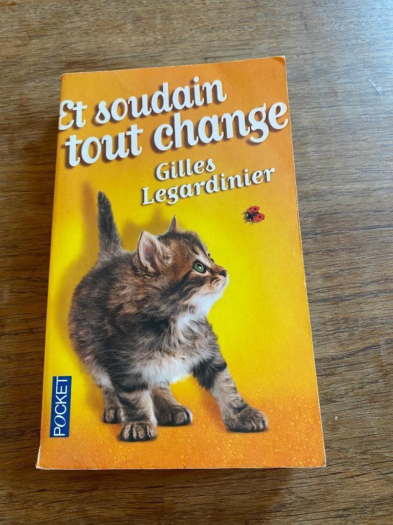 Gilles Legardinier Et soudain tout change Pocket TB ét, Livres, Envoi, Utilisé, Gilles Legardinier., Belgique
