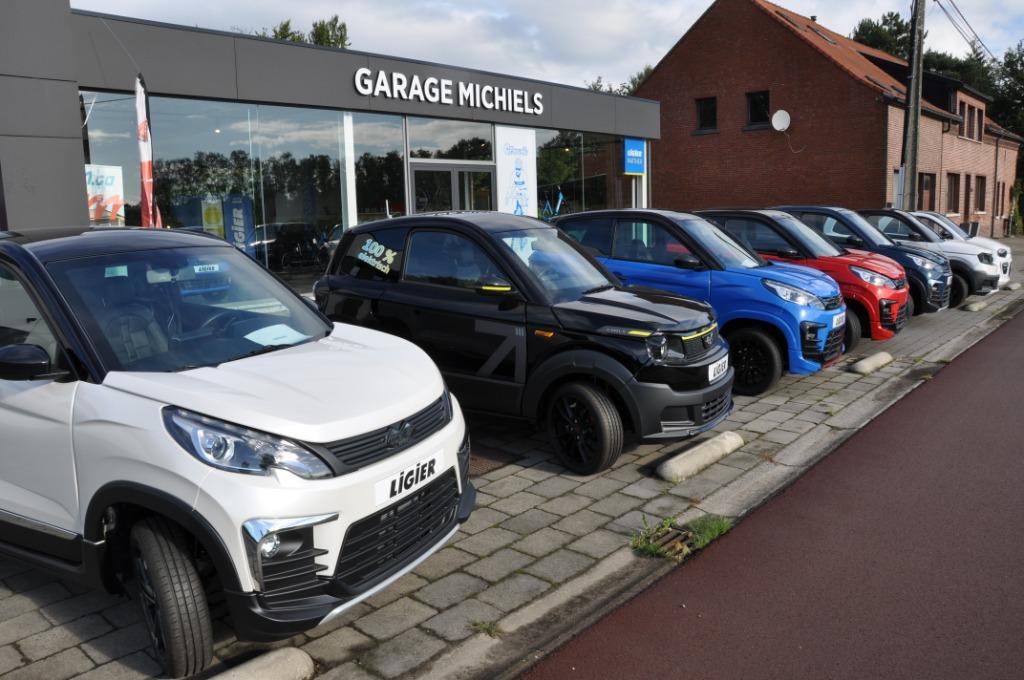 Ligier/Microcar, Overige kleuren, Bedrijf, Diesel, Te koop