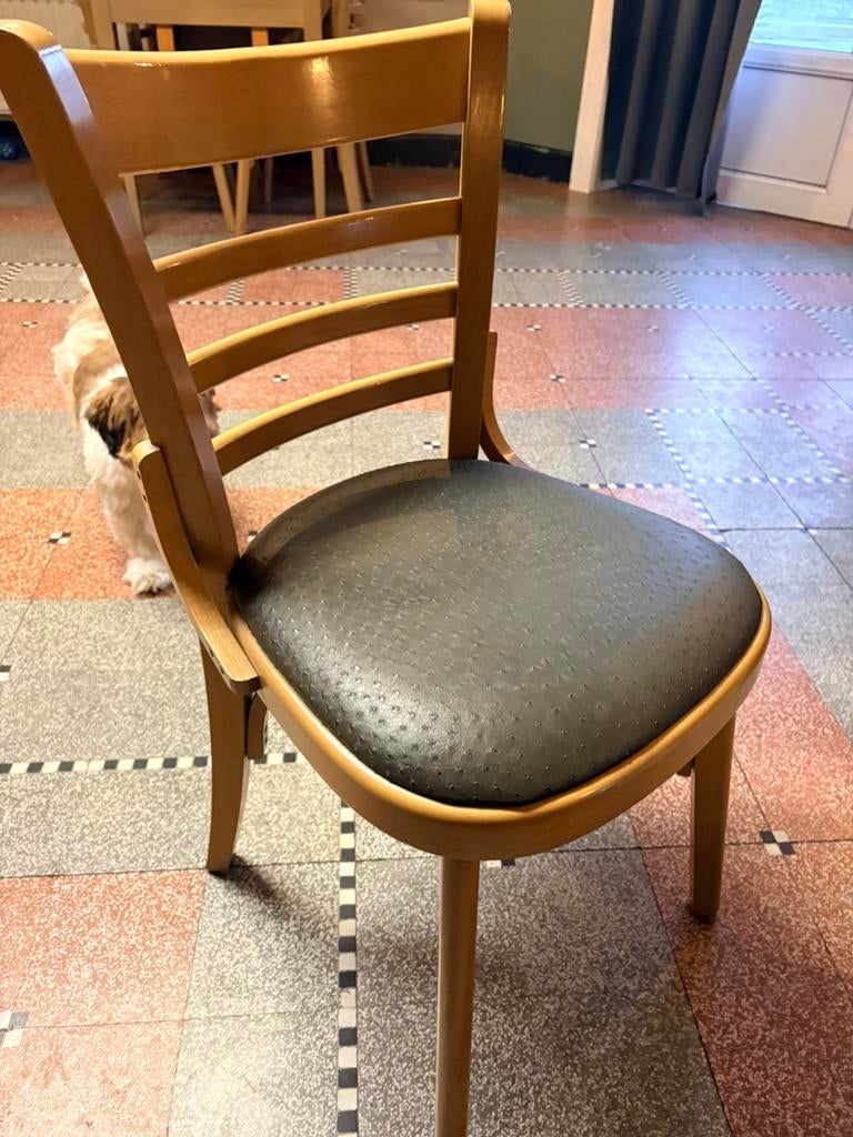 15 cafe stoelen HILMA, Zakelijke goederen, Horeca | Meubilair en Inrichting, Ophalen, Gebruikt, Meubilair