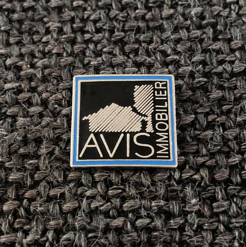 PIN - AVIS IMMOBILIER, Envoi, Utilisé, Autres sujets/thèmes, Insigne ou Pin's