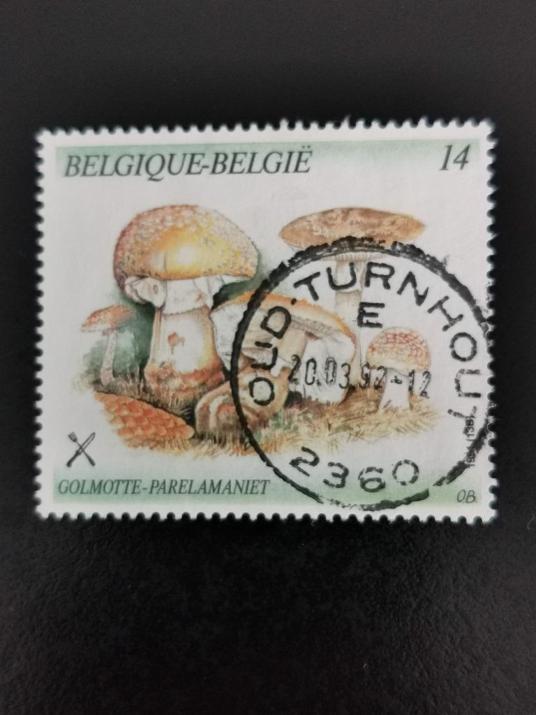 Belgique 1991 - champignons - Golmotte, Enlèvement ou Envoi, Affranchi
