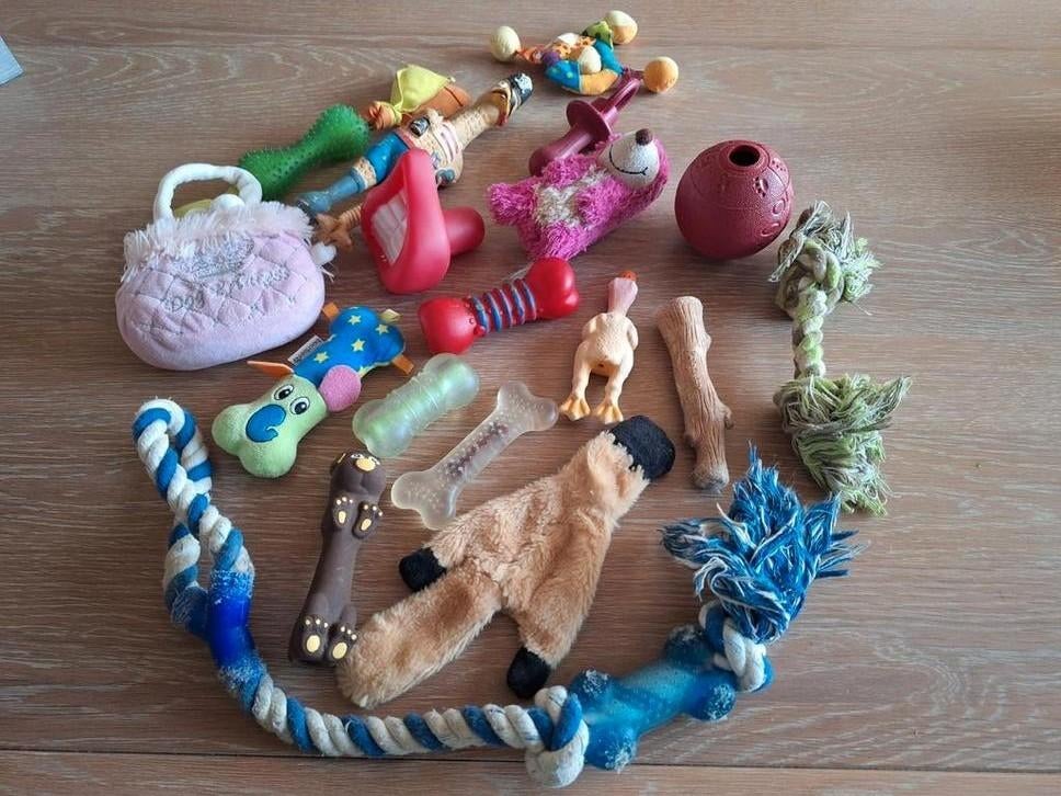 Allerlei hondenspeelgoed/ apport, trek, kauw, piepspeelgoed., Dieren en Toebehoren, Ophalen of Verzenden, Zo goed als nieuw, Overig speelgoed