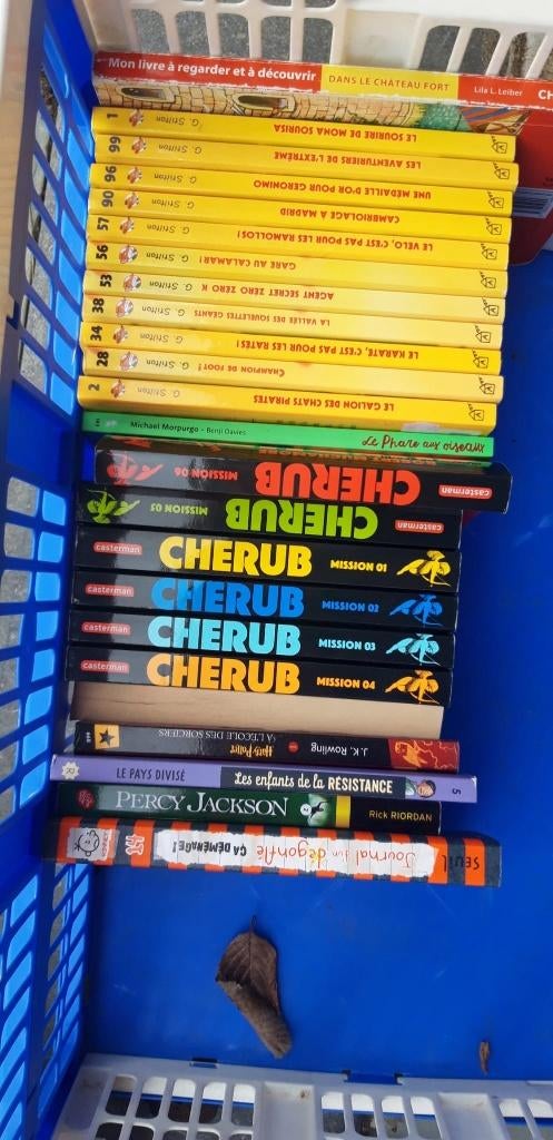 lot de geronimo stilton et de Cherub, Boeken, Ophalen, Zo goed als nieuw, Non-fictie