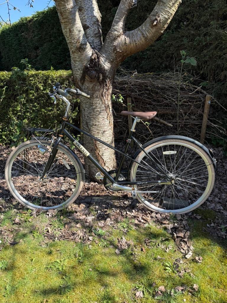 Damesfiets Valenti, Enlèvement, Utilisé