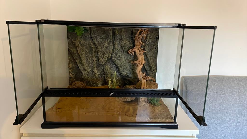 Grand terrarium 60x45x45, Enlèvement, Comme neuf