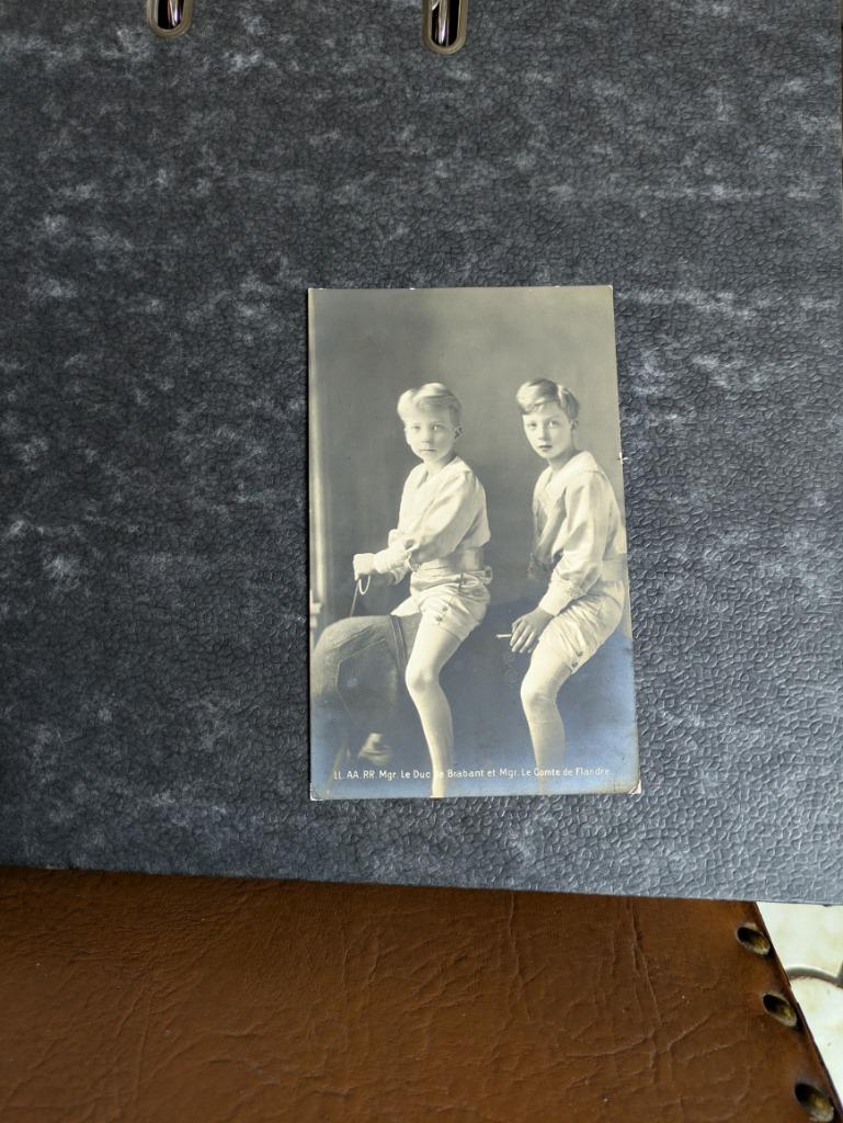 Prins Karel en prins Leopold, Enlèvement ou Envoi, Comme neuf, Carte, Photo ou Gravure
