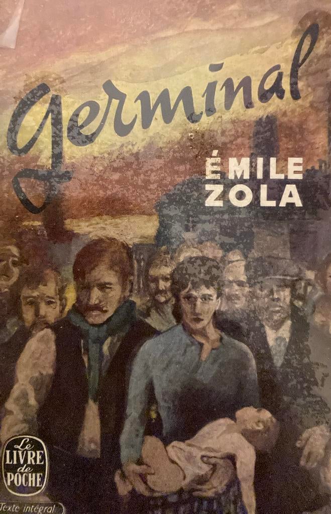 Emile zola germinal, Livres, Enlèvement ou Envoi, Utilisé