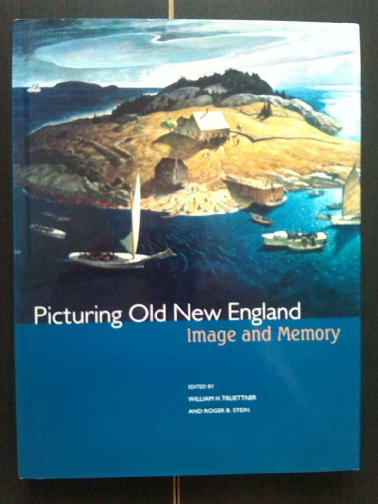 Picturing old New England. Image and memory, Ophalen of Verzenden, Zo goed als nieuw, Schilder- en Tekenkunst