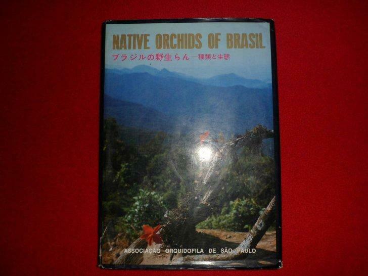 Orchidées indigènes du Brésil, Enlèvement ou Envoi, Utilisé, Fleurs, Plantes et Arbres, Dias Bocalho & Miura