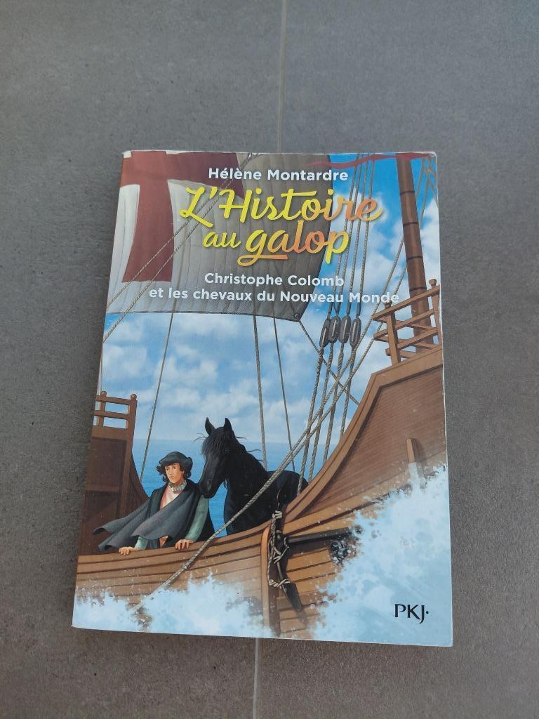 Livre « L’histoire au galop – Christophe Colomb et les cheva, Livres, Enlèvement ou Envoi, Comme neuf, Non-fiction