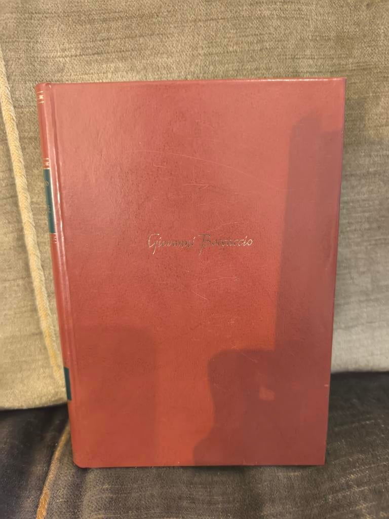 Decamerone.      (Giovanni Boccaccio), Livres, Littérature, Comme neuf, Enlèvement