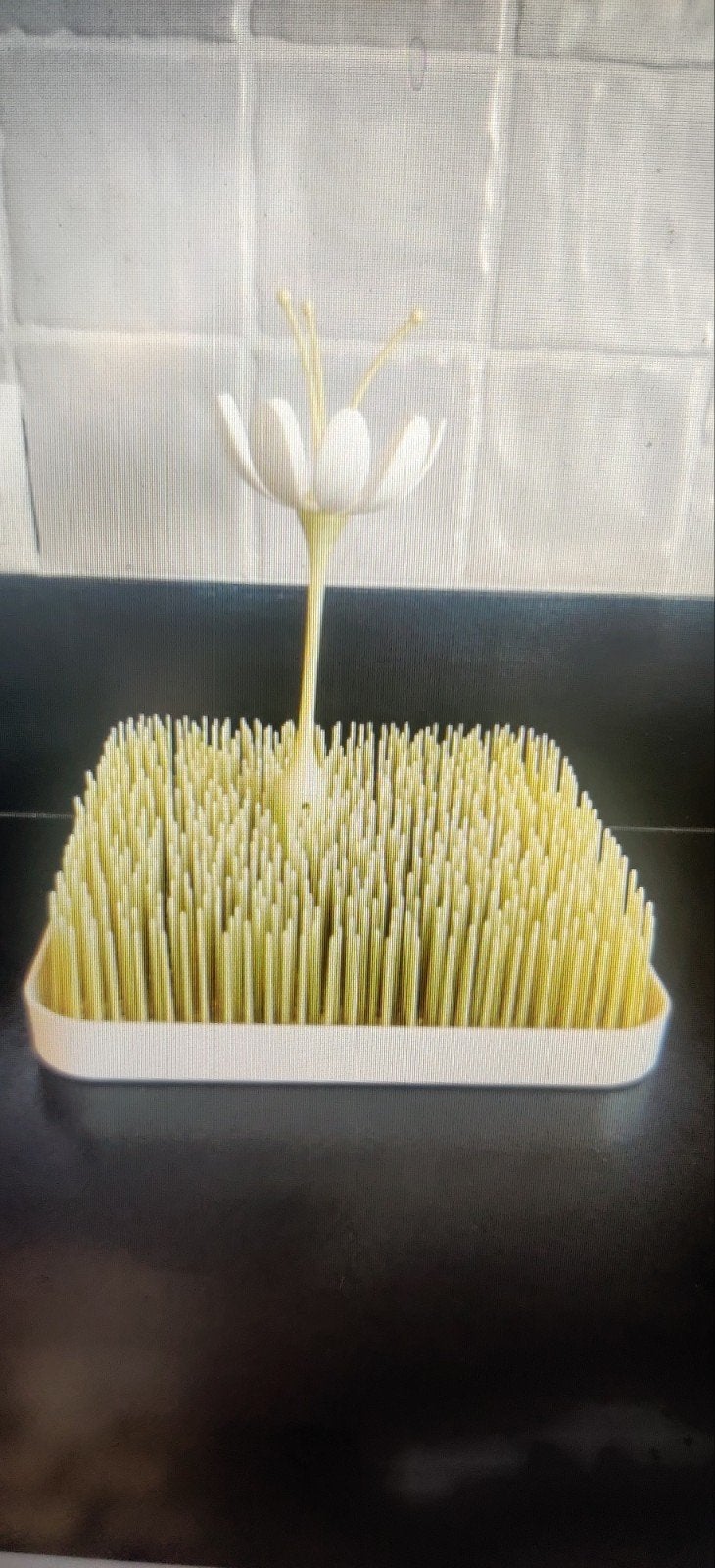 Afdruiprek boon + bloem voor spenen, Ophalen