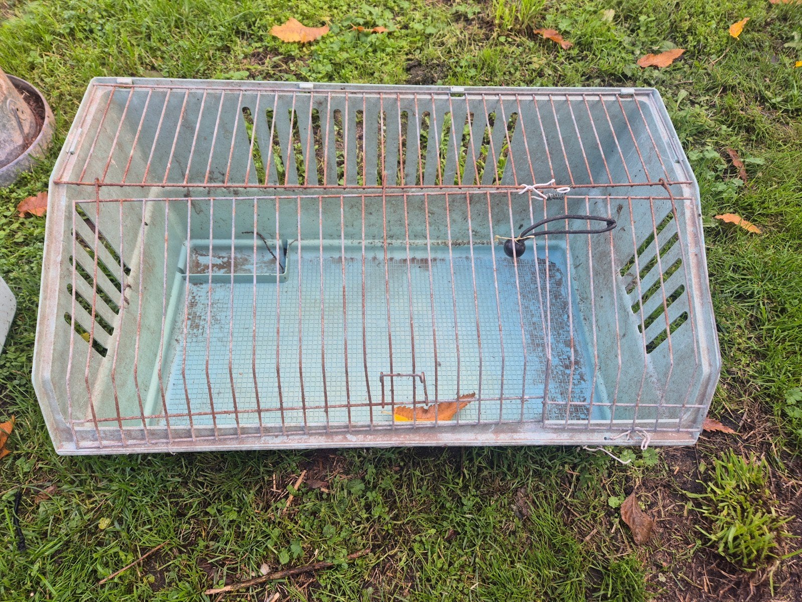 Gratis bak kooi voor dier konijn cavia, Dieren en Toebehoren, Ophalen, Kooi, Cavia