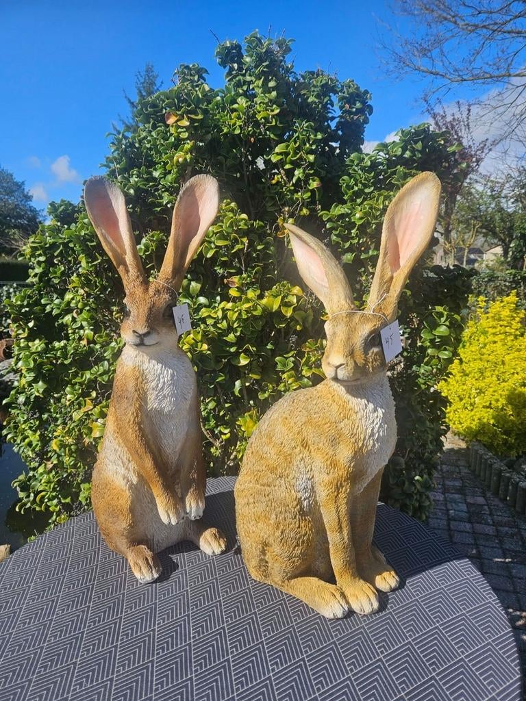 Polyester beelden Hazen, Tuin en Terras, Tuinbeelden, Ophalen, Nieuw, Kunststof, Dierenbeeld