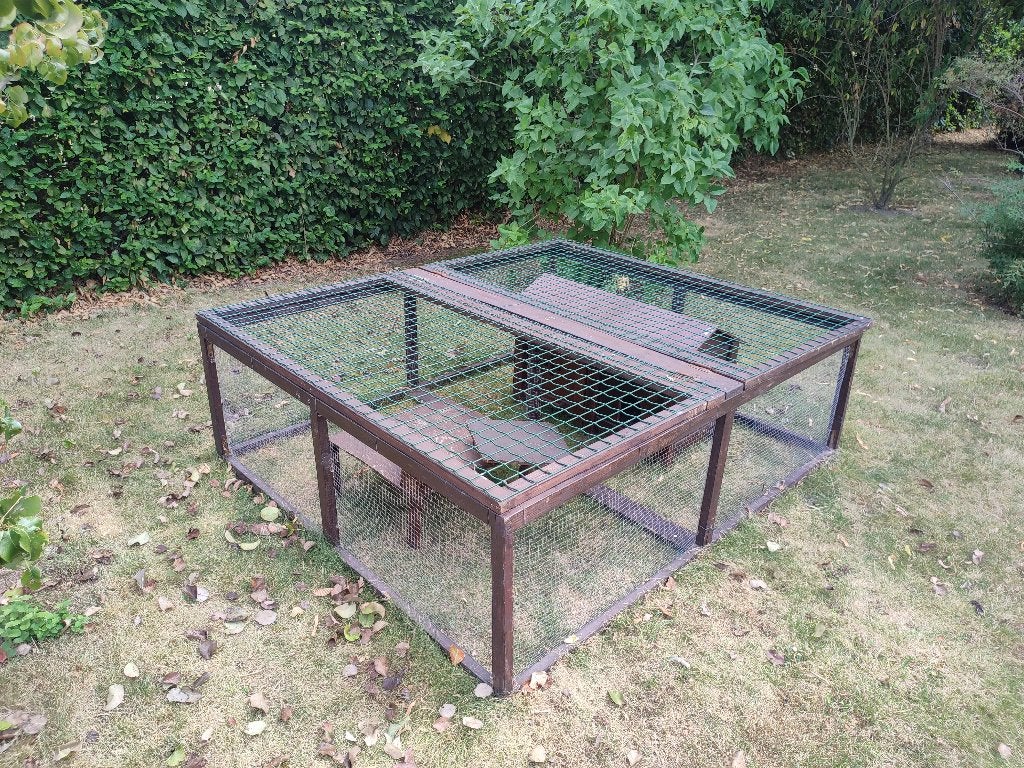 buitenhok en schuilhuisje voor konijn, Cobaye, Niche, Moins de 60 cm, Enlèvement
